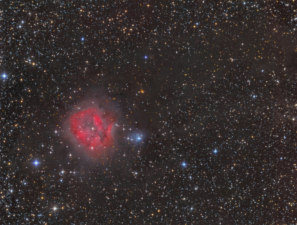 IC 5146 (2018/08)